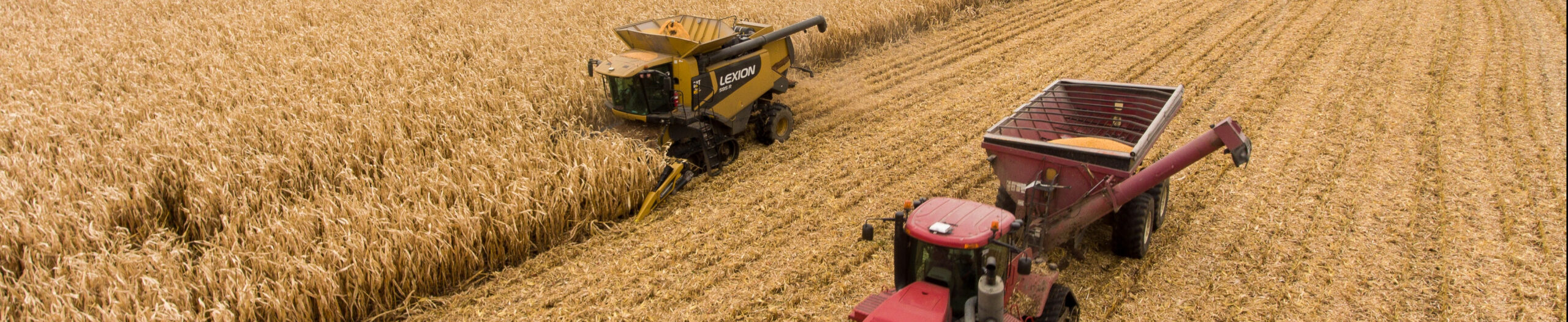 protections d’assurance adaptées aux exploitations agricole ou maraîchère propose par groupe afer ltée, un acteur majeur des compagnies financières et d'assurance à Montréal, Québec, Canada.