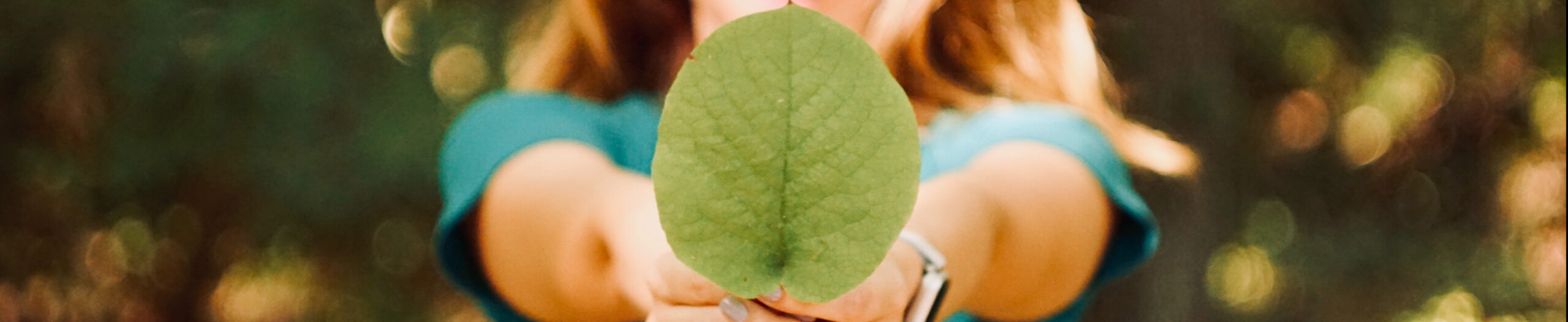 Assurance pour protections responsabilité environnementale avec groupe afer ltée, un acteur majeur des compagnies financières et d'assurance à Montréal, Québec, Canada.